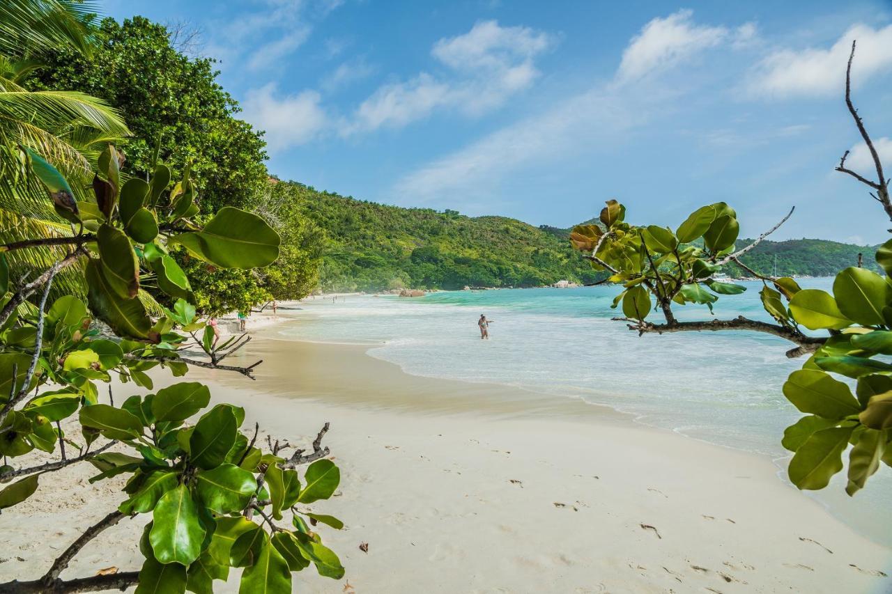 Lou Lou Bungalow Grand’ Anse Zewnętrze zdjęcie