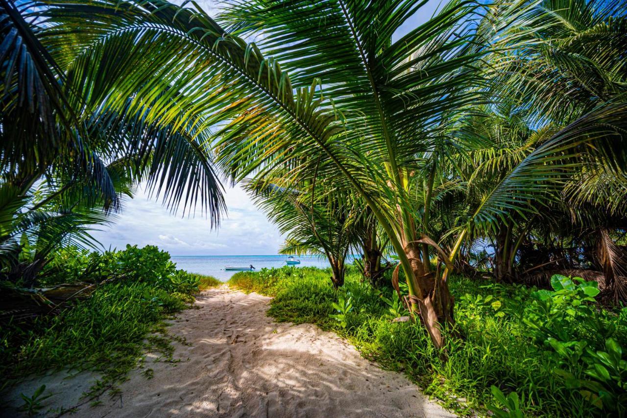 Lou Lou Bungalow Grand’ Anse Zewnętrze zdjęcie